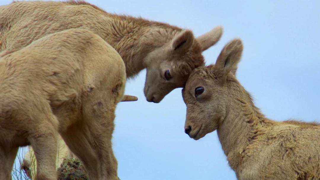 北美大地 North America
