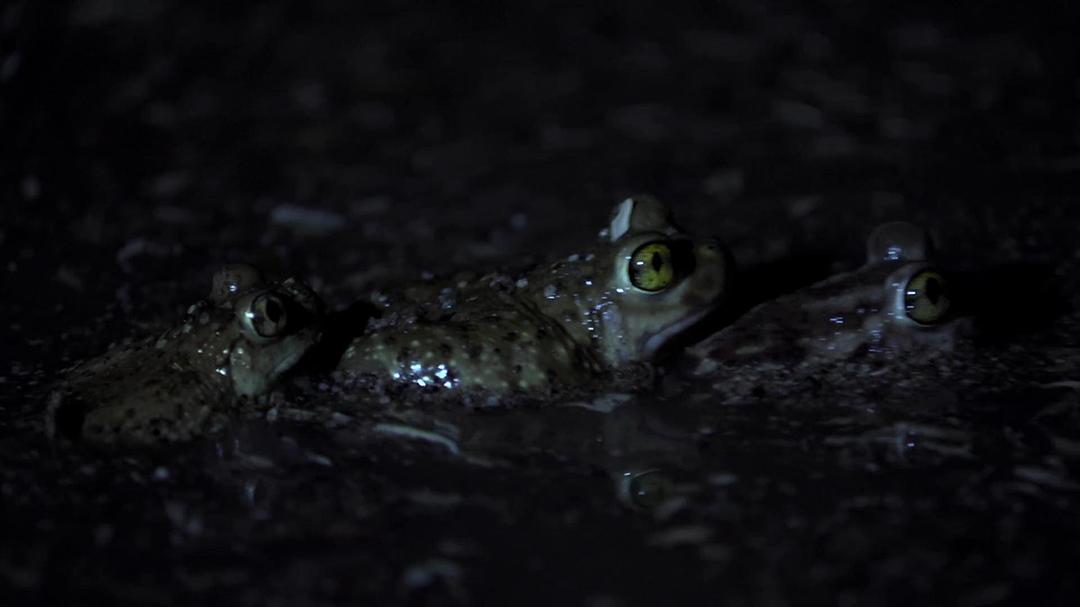 北美大地 North America