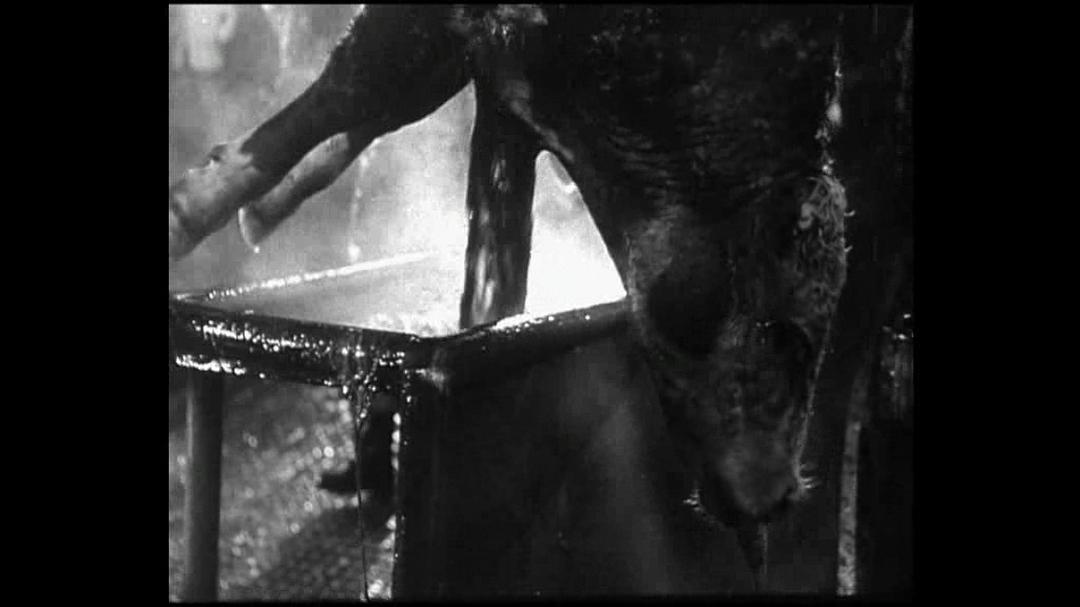 燃火的时刻 Hora de los hornos