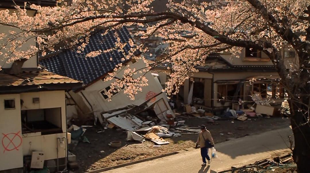 海啸与樱花 The Tsunami and the Cherry Blossom