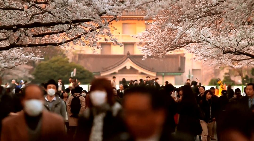 海啸与樱花 The Tsunami and the Cherry Blossom