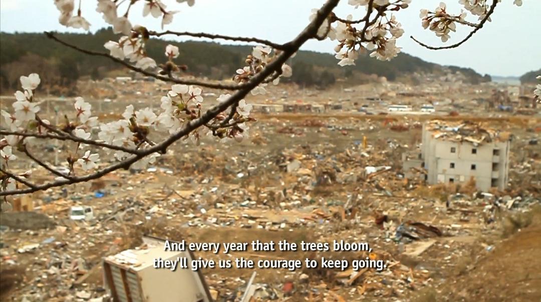 海啸与樱花 The Tsunami and the Cherry Blossom