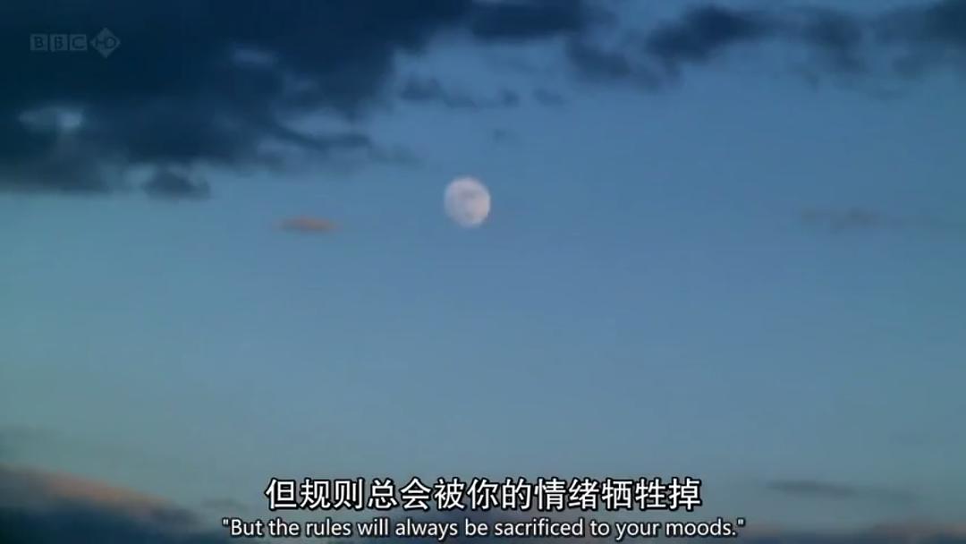 交响乐的故事 Symphony