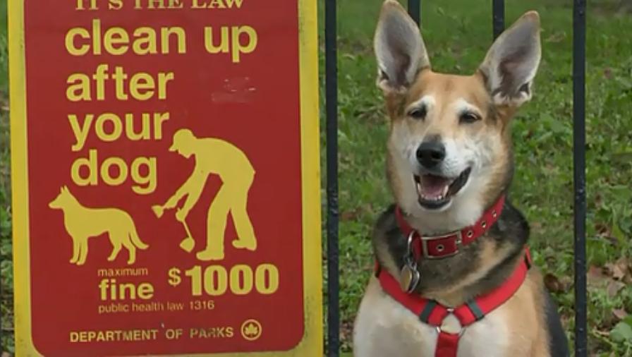 传奇字体 Helvetica