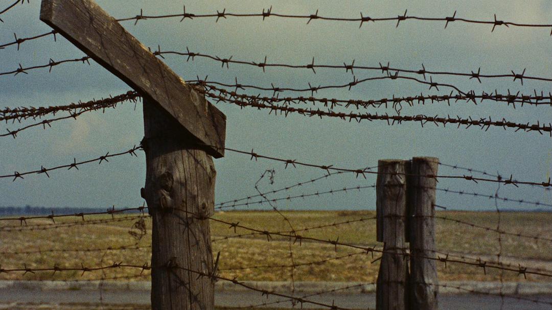 夜与雾 Nuit et brouillard