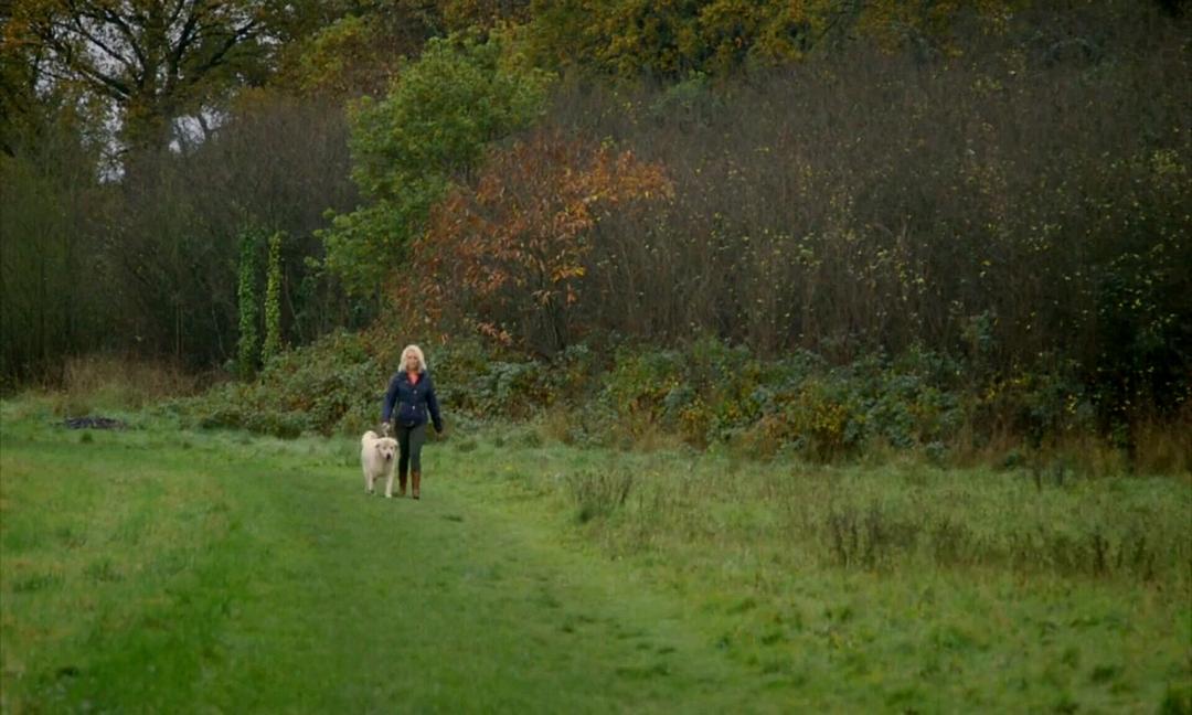 如何死亡：西蒙的抉择 How to Die: Simon’s Choice