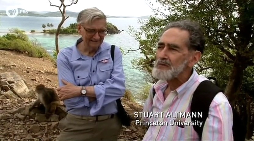 蚂蚁专家 Lord of the Ants