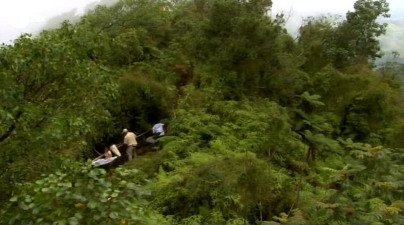 蚂蚁专家 Lord of the Ants