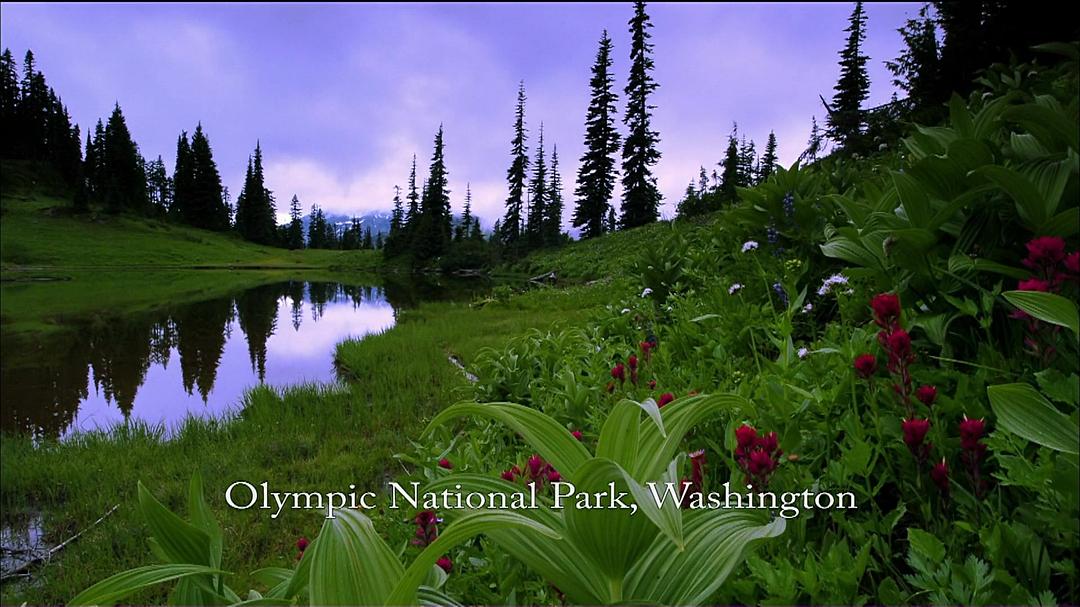 北美国家公园 North America&#x27;s National Parks