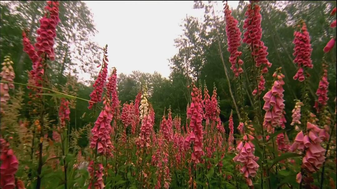 北美国家公园 North America&#x27;s National Parks