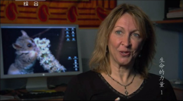 生命的力量 Life Force