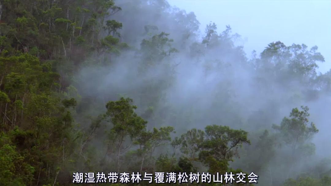 古巴：意外的伊甸园 Nature Cuba: The Accidental Eden
