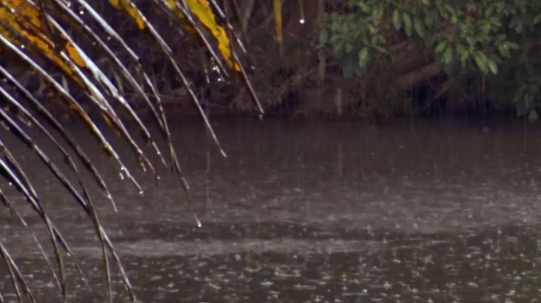 古巴：意外的伊甸园 Nature Cuba: The Accidental Eden