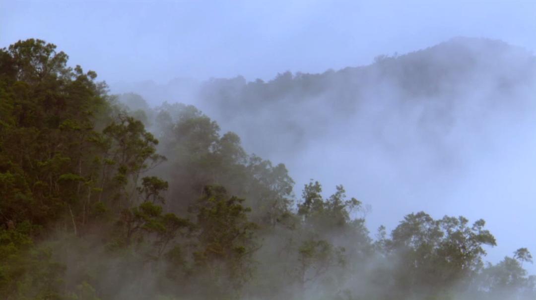 古巴：意外的伊甸园 Nature Cuba: The Accidental Eden