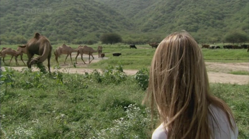 奇妙的人类旅程 The Incredible Human Journey