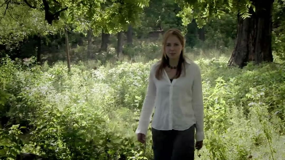 奇妙的人类旅程 The Incredible Human Journey