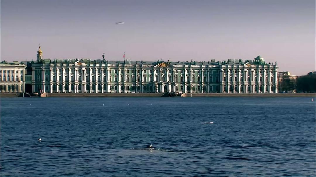 奇妙的人类旅程 The Incredible Human Journey