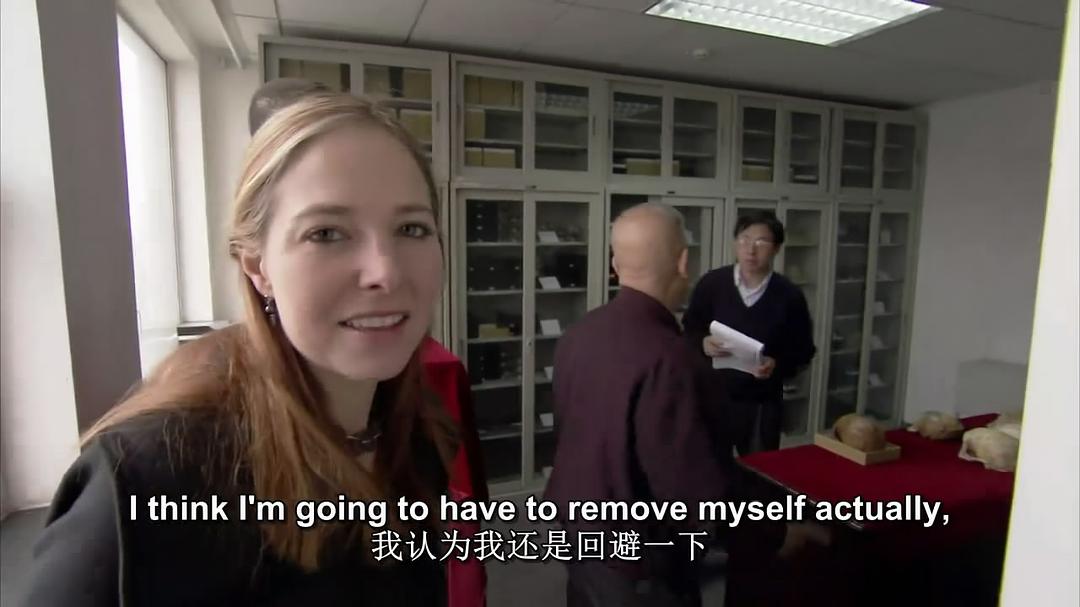 奇妙的人类旅程 The Incredible Human Journey