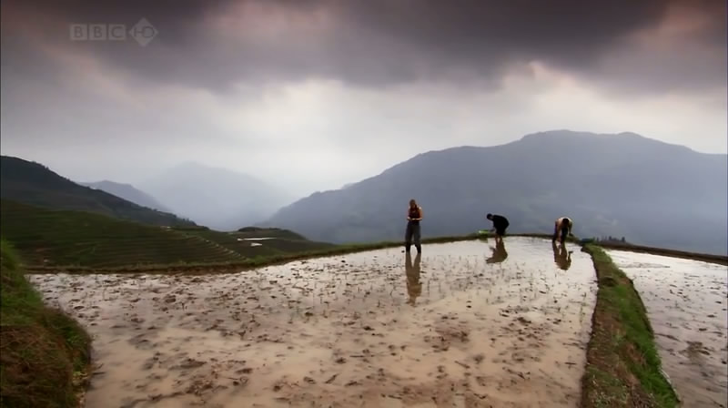 奇妙的人类旅程 The Incredible Human Journey