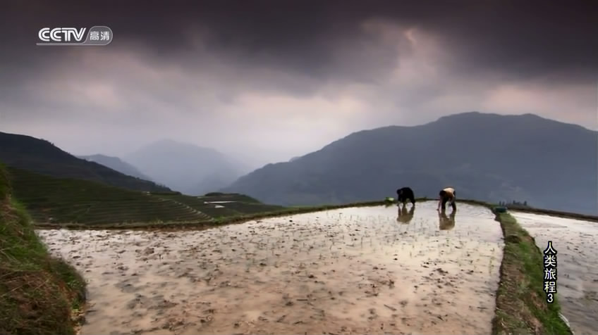 奇妙的人类旅程 The Incredible Human Journey