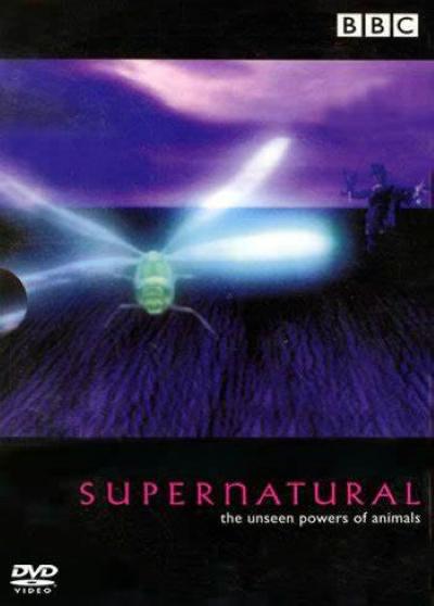 超自然力量 Supernatural: The Unseen Powers of Animals