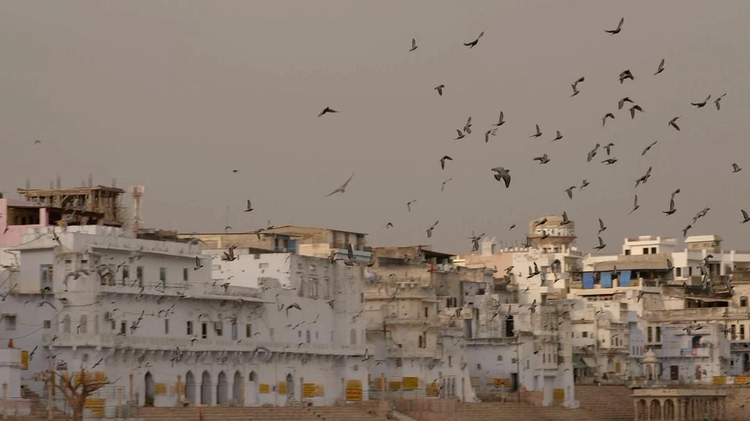 人类宇宙 Human Universe