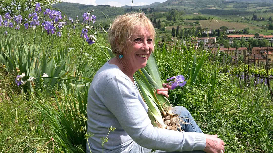 卡罗尔·克莱恩的植物巡礼 Carol Klein's Plant Odysseys