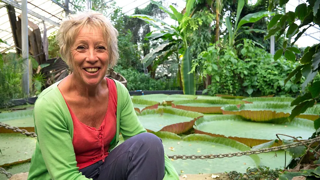 卡罗尔·克莱恩的植物巡礼 Carol Klein's Plant Odysseys