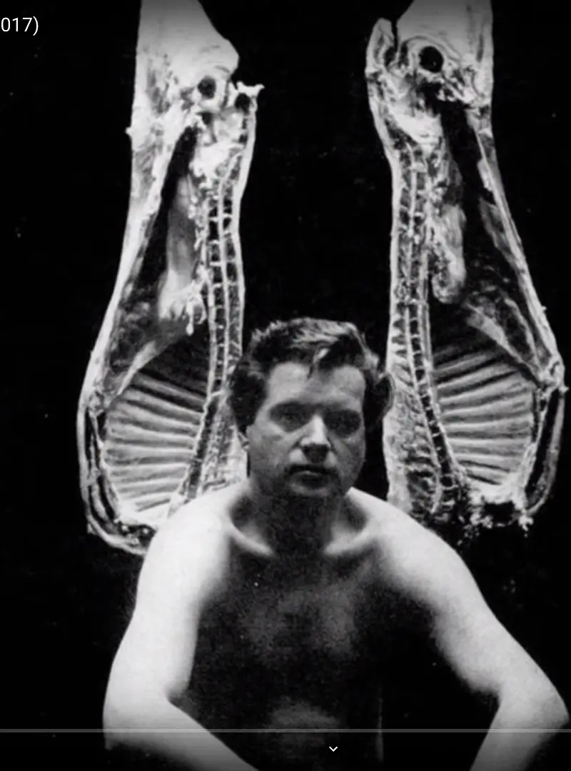 弗朗西斯·培根：暴力画笔 Francis Bacon: A Brush with Violence