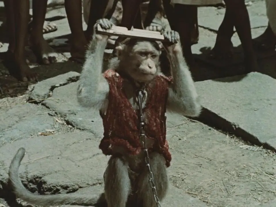 印度 India: Matri Bhumi