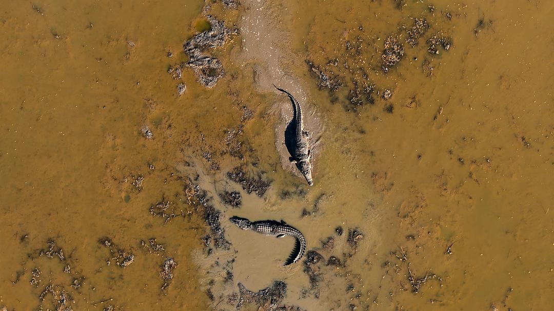 全球绝美国家公园 Our Great National Parks