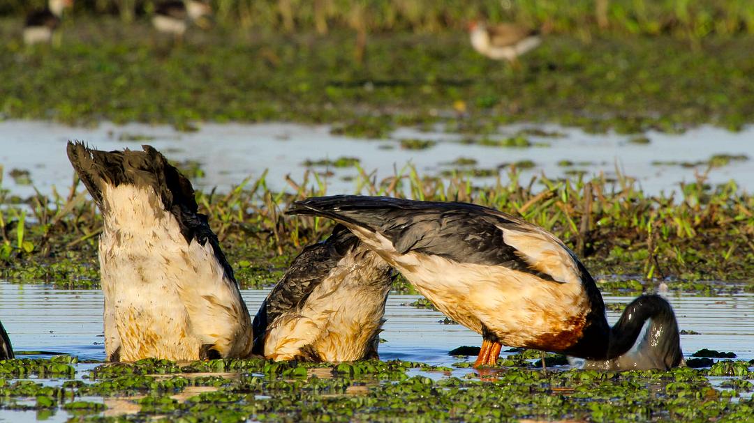 全球绝美国家公园 Our Great National Parks