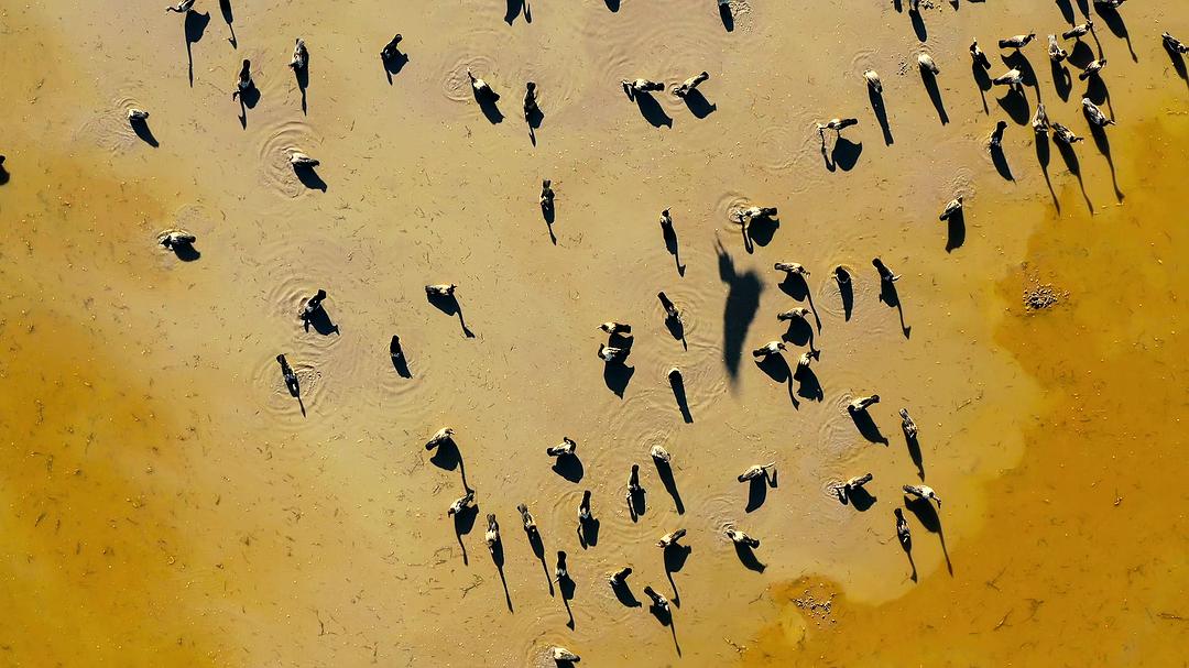 全球绝美国家公园 Our Great National Parks