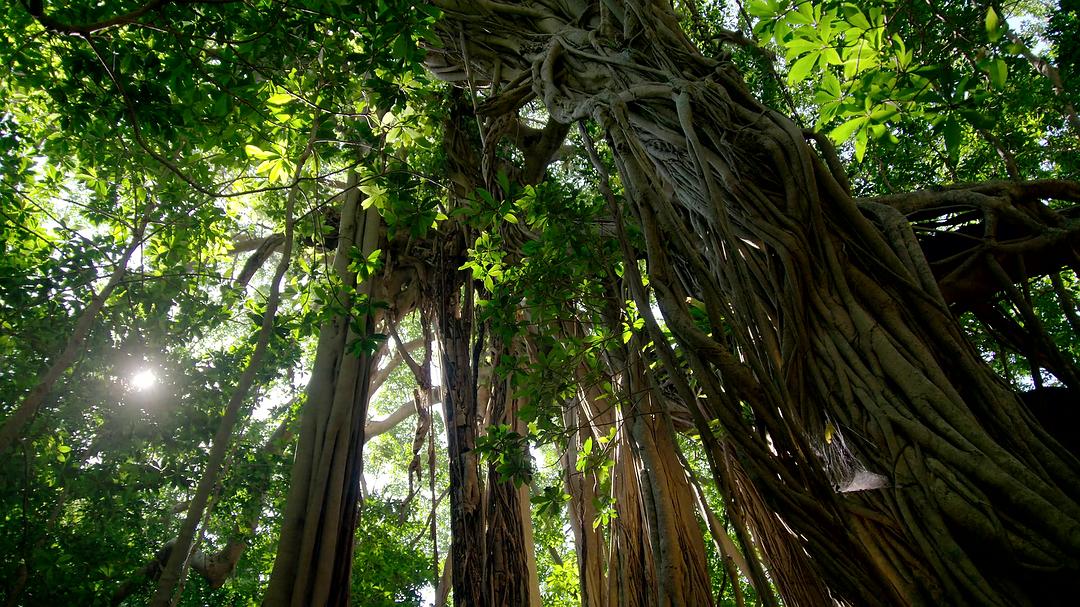 全球绝美国家公园 Our Great National Parks