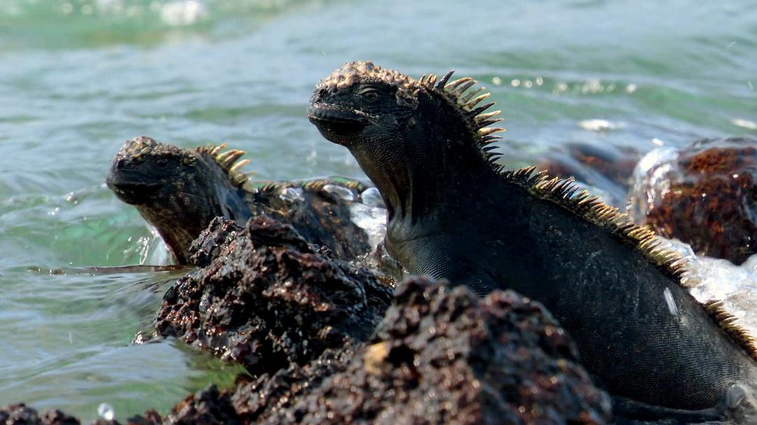 全球绝美国家公园 Our Great National Parks