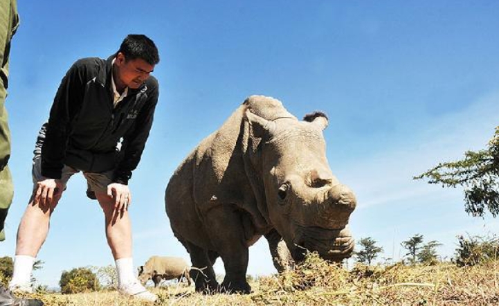 自然世界：飞翔的犀牛 The Natural World: Flight of the Rhino