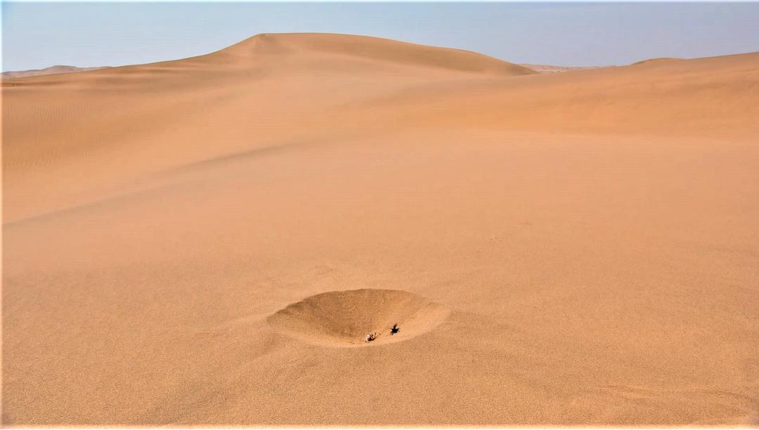 小小世界 第二季 Tiny World Season 2