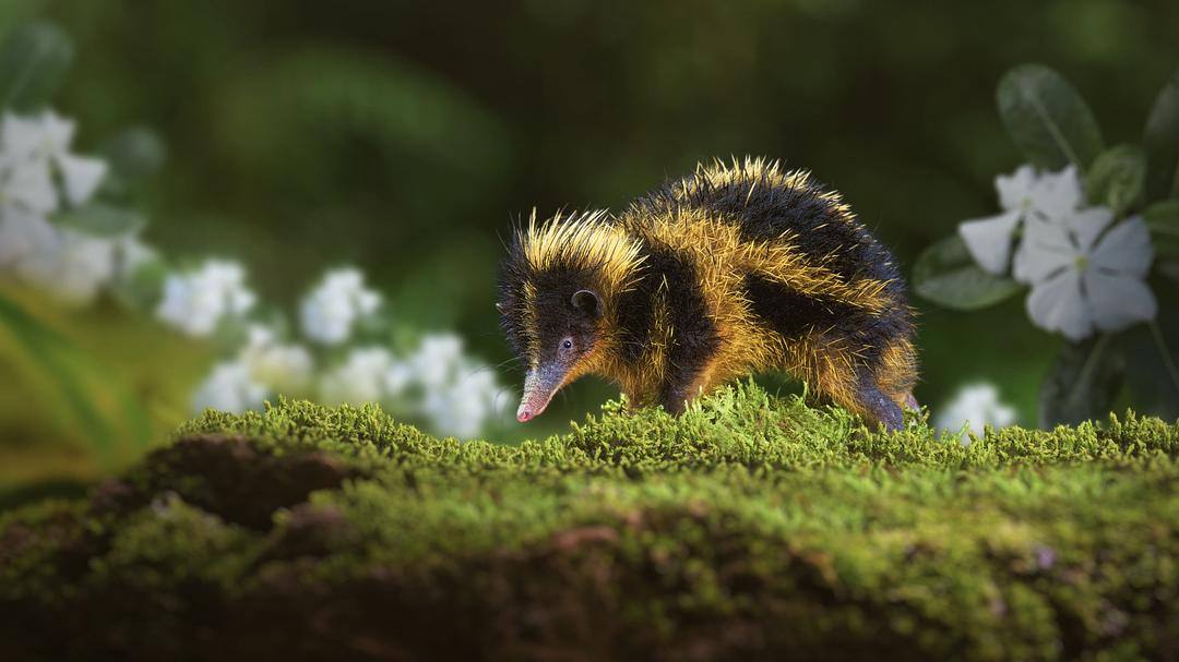 小小世界 第二季 Tiny World Season 2