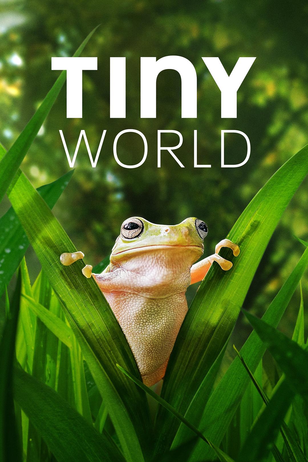 小小世界 第二季 Tiny World Season 2