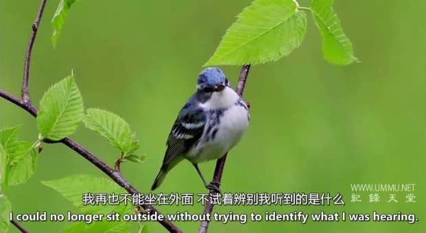 清空天空 Emptying The Skies