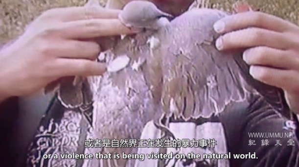 清空天空 Emptying The Skies