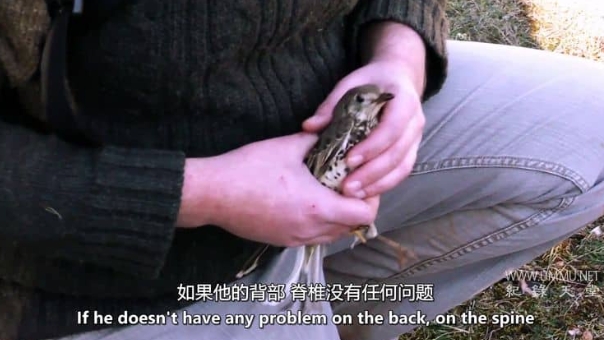 清空天空 Emptying The Skies