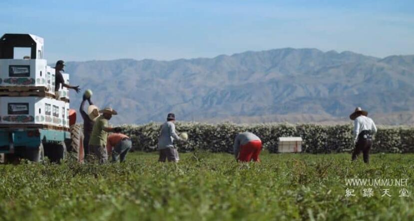 隐秘的山谷 Invisible Valley