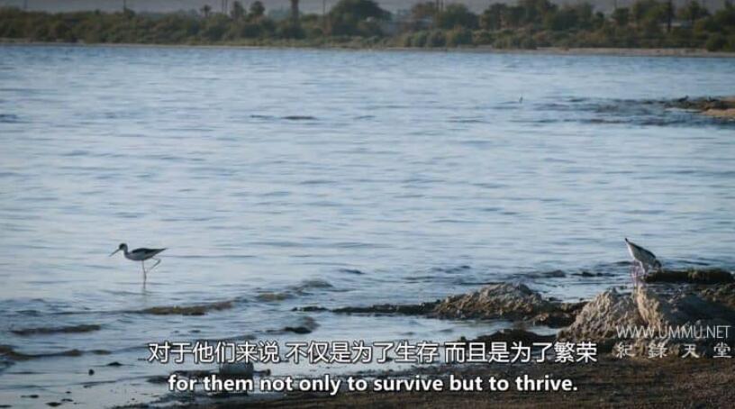 隐秘的山谷 Invisible Valley