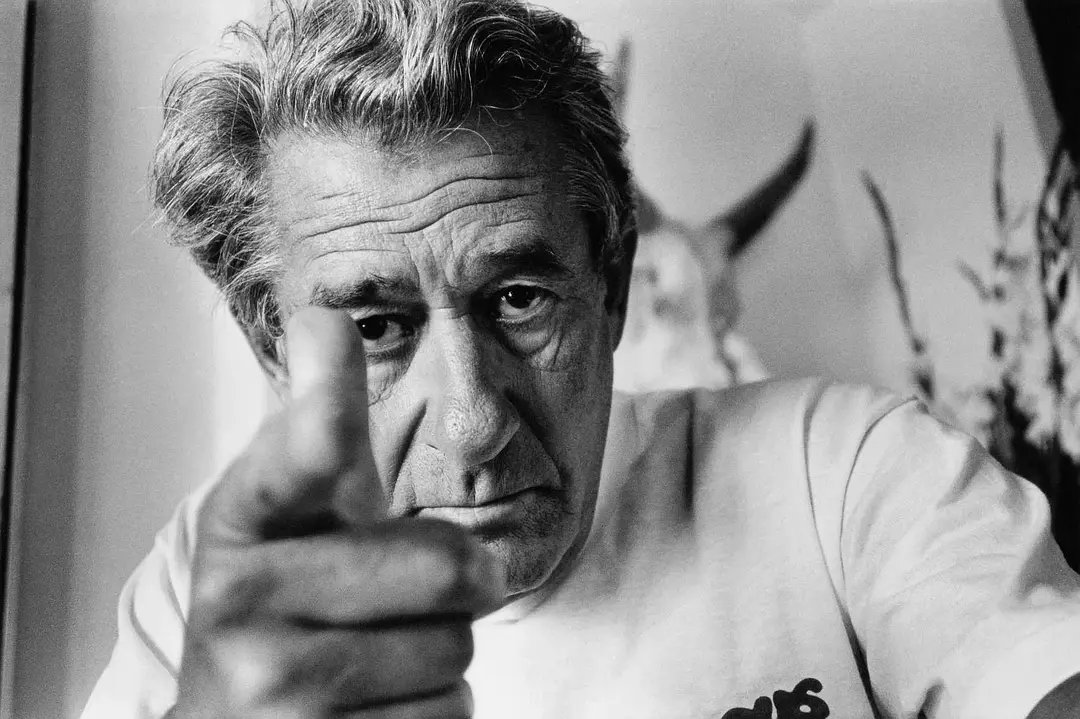 赫尔姆特·牛顿：坏的与美的 Helmut Newton: The Bad and the Beautiful