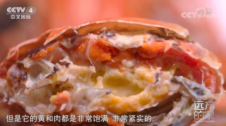 远方的家 2022年全255集