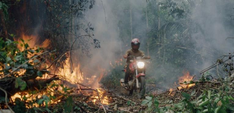 领地/亚马逊雨林保卫战