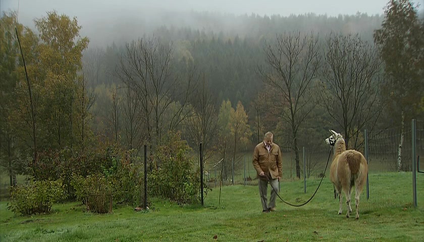 食物美学 Food Design