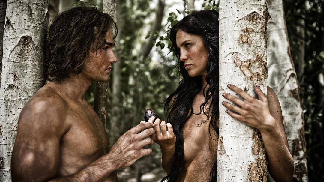 圣经故事 The Bible