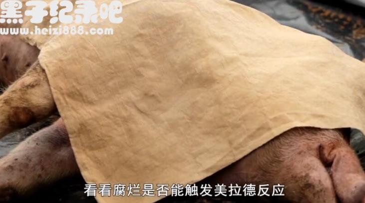 珍宝解密 第一季 Treasures Decoded Season 1